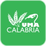 uma calabria android application logo